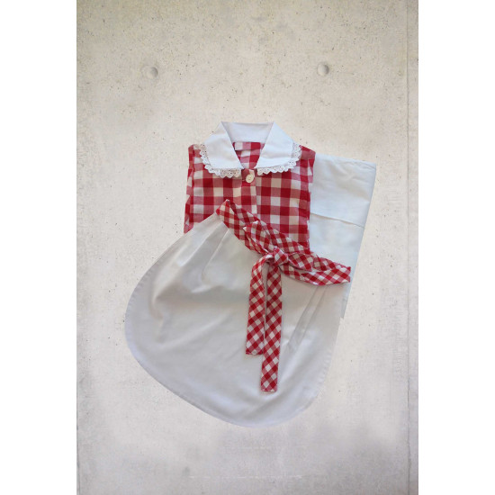 Red Checks Housekeeping Set With Matching Apron