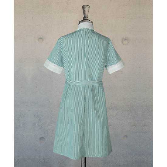 Dress With Round Collar  - Green-White Stripes
