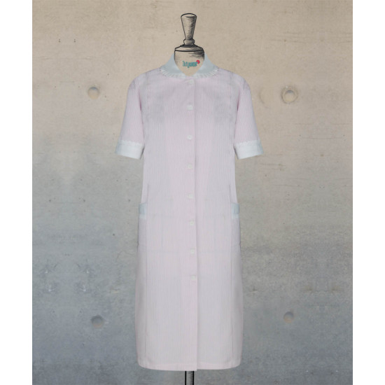 Dress With Round Collar  - Baby Pink Stripes